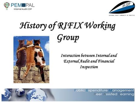 1 History of RIFIX Working Group Interaction between Internal and External Audit and Financial Inspection.