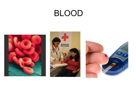 BLOOD. Blood transports substances and maintains homeostasis in the body Hematophobia = fear of blood.