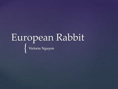 { European Rabbit Victoria Nguyen. The European Rabbit is native to Spain and Portugal. They like to live in areas with soft ground for digging burrows.