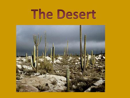A desert is very sandy land. Deserts are all over the world. Plants and animals live in the desert. Barely anything grows in the desert. The desert.