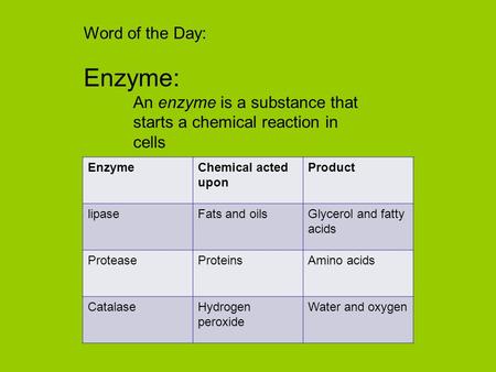 Word of the Day: Enzyme: An enzyme is a substance that starts a chemical reaction in cells EnzymeChemical acted upon Product lipaseFats and oilsGlycerol.