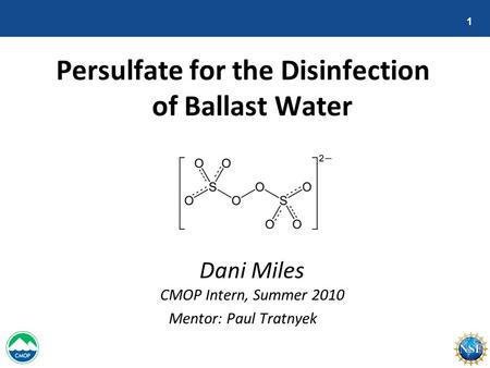 Persulfate for the Disinfection of Ballast Water