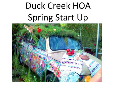 Duck Creek HOA Spring Start Up. Things You Can Do Now for the Summer Season Mower Maintenance Tool Maintenance Irrigation Maintenance Color Beds and Shrubs.