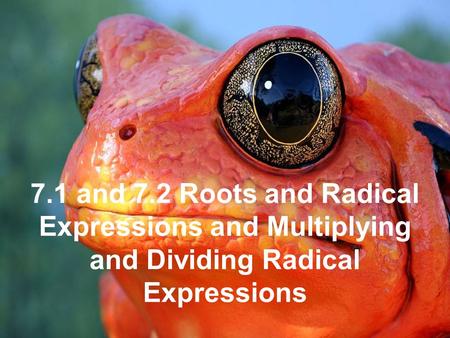 1 7.1 and 7.2 Roots and Radical Expressions and Multiplying and Dividing Radical Expressions.