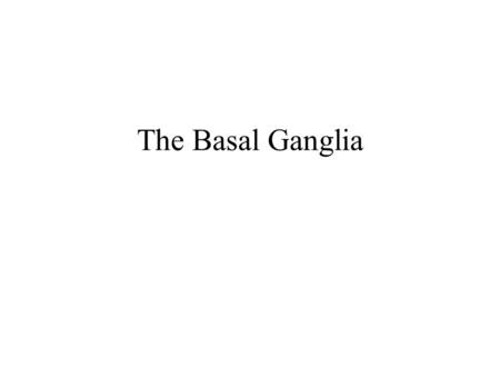 The Basal Ganglia. I.Functional anatomy A. Input and output components cerebral cortex  BG  thalamus (VA)  frontal lobe. B. Parallel circuits C. Neurotransmitters.