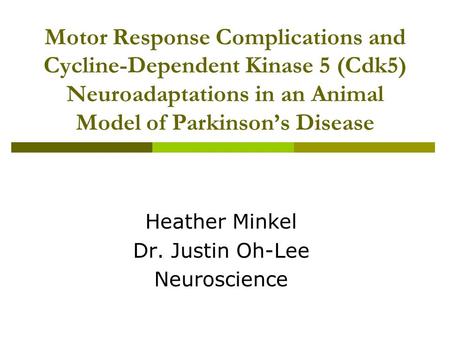 Motor Response Complications and Cycline-Dependent Kinase 5 (Cdk5) Neuroadaptations in an Animal Model of Parkinson’s Disease Heather Minkel Dr. Justin.