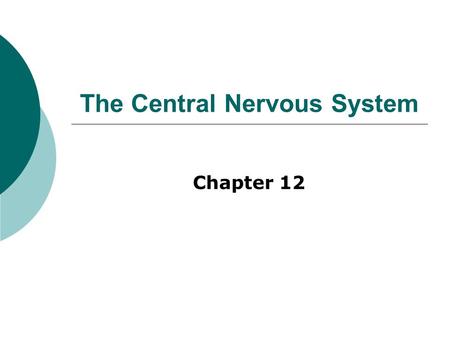 The Central Nervous System Chapter 12. Embryonic Development.