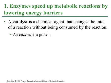 A catalyst is a chemical agent that changes the rate of a reaction without being consumed by the reaction. An enzyme is a protein. 1. Enzymes speed up.