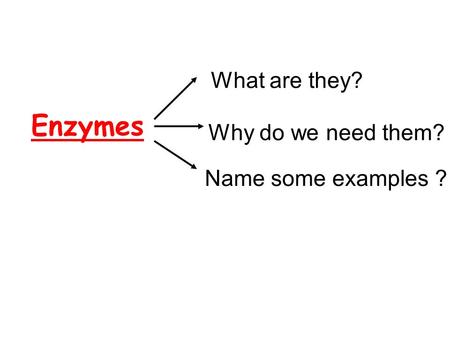 What are they? Enzymes Why do we need them? Name some examples ?