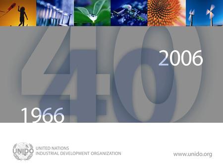 www.unido.org The Triple Bottom Line Approach – Environmental Domain Morana Belamaric 12 June 2007.