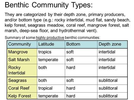 Benthic Community Types: They are categorized by their depth zone, primary producers, and/or bottom type (e.g.: rocky intertidal, mud flat, sandy beach,