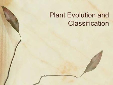 Plant Evolution and Classification. Adapting to Land More exposure to sunlight Increased CO 2 levels Greater supply of inorganic nutrients Susceptible.