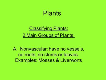 Plants Classifying Plants: 2 Main Groups of Plants: A. Nonvascular: have no vessels, no roots, no stems or leaves. Examples: Mosses & Liverworts.