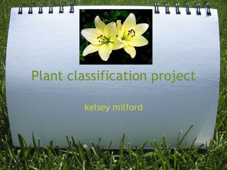 Plant classification project