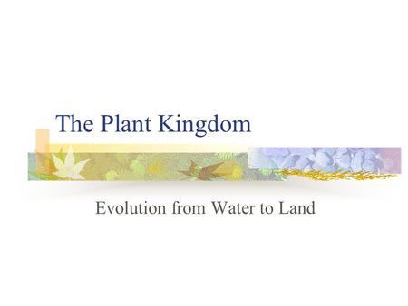 The Plant Kingdom Evolution from Water to Land. Primitive Plants Were “aquatic” – lived in water If salt water, we use the term “marine” It is believed.