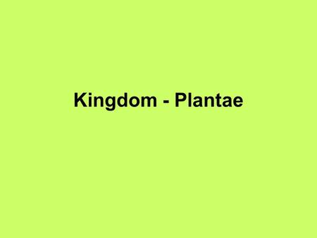 Kingdom - Plantae.