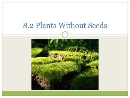 8.2 Plants Without Seeds. Nonvascular Plants Do not grow tall  Do not have roots, stems or leaves Live in moist areas  Absorb water directly from environment.
