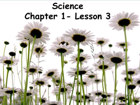 Science Chapter 1- Lesson 3. Plants obtain air and sunlight directly from their environments. Transporting water and nutrients can be very difficult.
