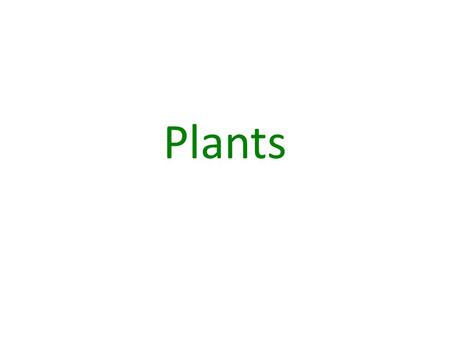 Plants. Characteristics of all plants Are producers and use photosynthesis to make their own food – Most are green because they contain the pigment chlorophyll.