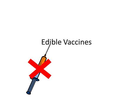 Edible Vaccines. HOW IS IT DONE Approach 1 DNA sequences encoding antibodies (molecule which is able to recognise a disease-causing agent) are inserted.