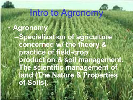Intro to Agronomy Agronomy –Specialization of agriculture concerned w/ the theory & practice of field-crop production & soil management. The scientific.