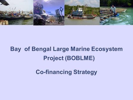 Bay of Bengal Large Marine Ecosystem Project (BOBLME) Co-financing Strategy.