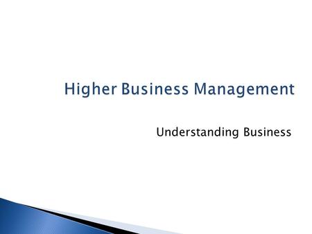Higher Business Management Understanding Business.