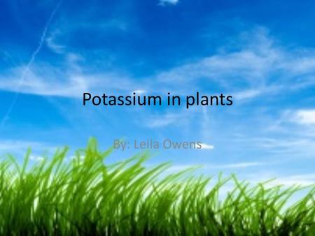Potassium in plants By: Leila Owens. Potassium Potassium is an element otherwise known as K. There is a lot of potassium in soil. There are also large.