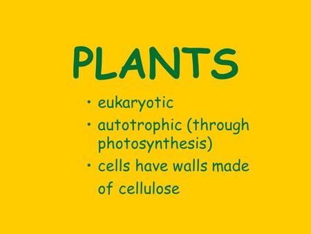 PLANTS eukaryotic autotrophic (through photosynthesis) cells have walls made of cellulose.