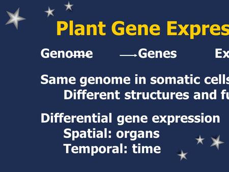 Plant Gene Expression Genome Genes Expression Differential gene expression Spatial: organs Temporal: time Same genome in somatic cells Different structures.