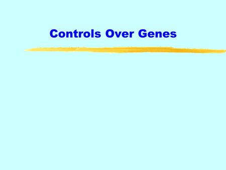 Controls Over Genes. More on Transcription zPromoters are regions on DNA that show where RNA Polymerase must bind to begin the Transcription of RNA zCalled.