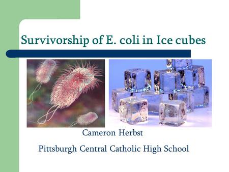 Survivorship of E. coli in Ice cubes Cameron Herbst Pittsburgh Central Catholic High School.