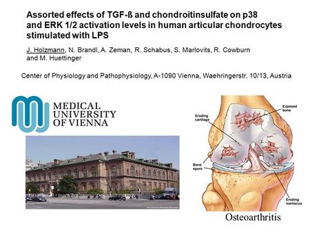 Osteoarthritis Assorted effects of TGF-ß and chondroitinsulfate on p38 and ERK 1/2 activation levels in human articular chondrocytes stimulated with LPS.