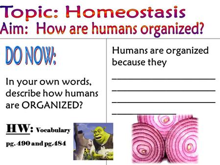 In your own words, describe how humans are ORGANIZED? Humans are organized because they _____________________ _____________________ _____________________.