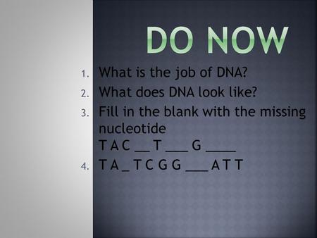 Do Now What is the job of DNA? What does DNA look like?