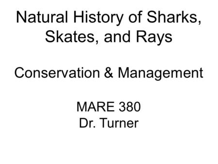 Natural History of Sharks, Skates, and Rays Conservation & Management MARE 380 Dr. Turner.