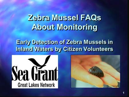 Zebra Mussel FAQs About Monitoring Early Detection of Zebra Mussels in Inland Waters by Citizen Volunteers This presentation is entitled, “Zebra Mussel.