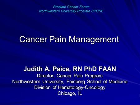 Cancer Pain Management Judith A. Paice, RN PhD FAAN Director, Cancer Pain Program Northwestern University, Feinberg School of Medicine Division of Hematology-Oncology.