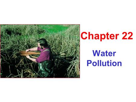 Water Pollution Chapter 22. Types of Water Pollution Sewage ↑ Enrichment Explosion in algal, bacteria, & decomposer populations ↑ Biological oxygen demand.