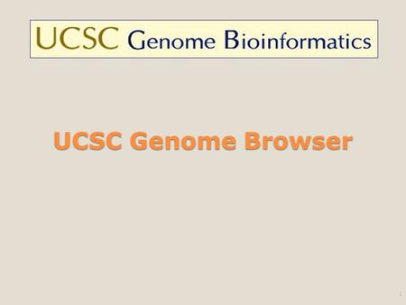 UCSC Genome Browser 1. The Progress 2 Database and Tool Explosion 3 2000 : 230 databases and tools 1996 : first annual compilation of databases and tools.