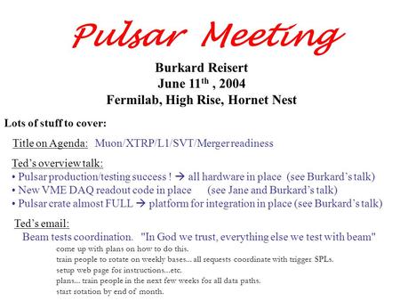 Burkard Reisert June 11 th, 2004 Fermilab, High Rise, Hornet Nest Pulsar Meeting Ted’s overview talk: Pulsar production/testing success !  all hardware.