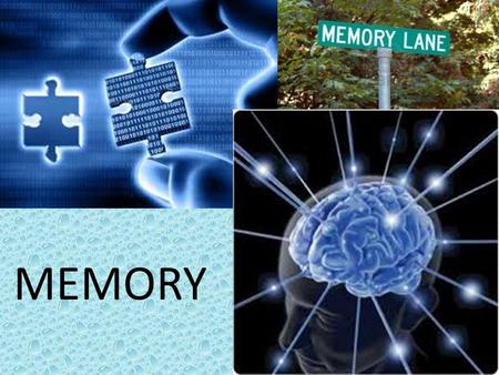 Memory MEMORY. Memory What is the point of learning? Without memories…learning would mean nothing to us, right?