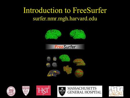 Introduction to FreeSurfer surfer.nmr.mgh.harvard.edu