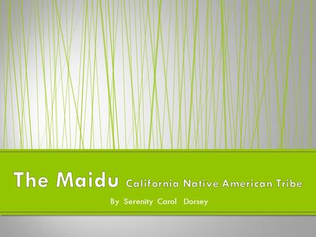 The Maidu California Native American Tribe