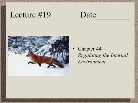 Lecture #19 Date________ Chapter 44 ~ Regulating the Internal Environment.
