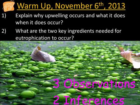 Warm Up, November 6 th, 2013 1)Explain why upwelling occurs and what it does when it does occur? 2)What are the two key ingredients needed for eutrophication.