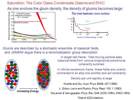 As one evolves the gluon density, the density of gluons becomes large: Gluons are described by a stochastic ensemble of classical fields, and JKMMW argue.