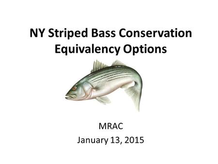 NY Striped Bass Conservation Equivalency Options MRAC January 13, 2015.