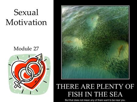 1 Sexual Motivation Module 27. QR code for SG 26 27 28 2.