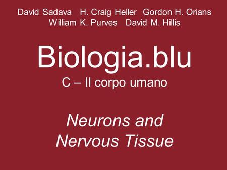David Sadava H. Craig Heller Gordon H. Orians William K. Purves David M. Hillis Biologia.blu C – Il corpo umano Neurons and Nervous Tissue.